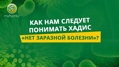 КАК НАМ СЛЕДУЕТ ПОНИМАТЬ ХАДИС «НЕТ ЗАРАЗНОЙ БОЛЕЗНИ» - Официальный сайт  Духовного управления мусульман Казахстана