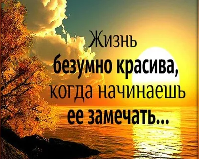 Картинки статус для whatsapp природа (67 фото) » Картинки и статусы про  окружающий мир вокруг