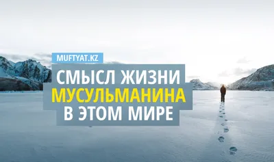 Смысл жизни мусульманина в этом мире - Официальный сайт Духовного  управления мусульман Казахстана