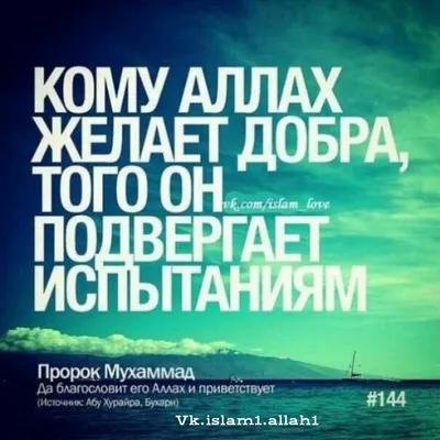 Когда муж смотрит на жену и она смотрит на него с любовью, тогда Всевышний  Аллах смотрит на них с милостью.… | Вдохновляющие цитаты, Правдивые цитаты,  Цитаты лидера