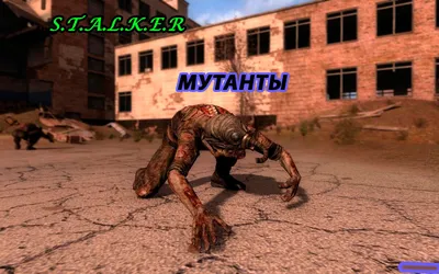 Мутанты S.T.A.L.K.E.R. 2 (2011) | S.T.A.L.K.E.R. Wiki: Zone Chronicles |  Fandom