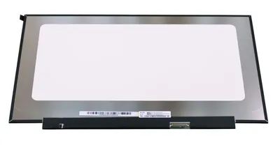Монитор RDW Computers 23.8" RDW2423K черный IPS 5ms 16:9 HDMI матовая HAS  Piv 1000:1 250cd 178гр/178гр 1920x1080 DP (RUS) — купить по лучшей цене в  интернет-магазине OLDI в Москве — характеристики, фото