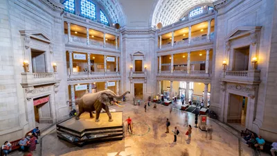 Национальный музей естественной истории в Вашингтоне, описание