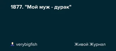 Жено Какая я была дура что за тебя замуж вышла Муж А я какой был дурак что  женился Сын Обо дураки охотят чтобы я хорошо учился - выпуск №1549614