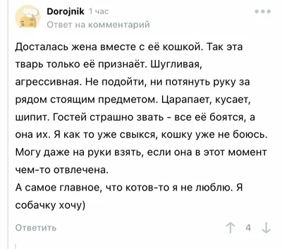 Тайное желание мужа, о котором он не любит говорить с женой | Мужчины, Муж,  Отношения