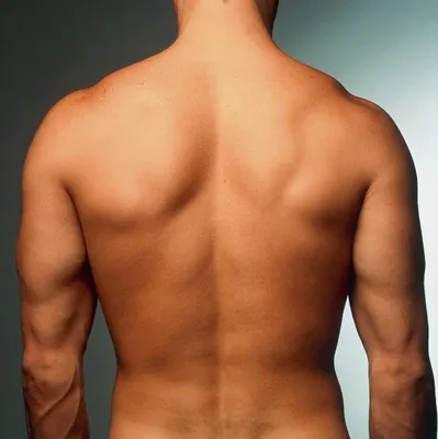3 правила для широкой мужской спины, которые следует соблюдать |  МоёПризвание | Профориентация и карьера | Дзен