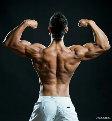 3 правила для широкой мужской спины, которые следует соблюдать |  МоёПризвание | Профориентация и карьера | Дзен