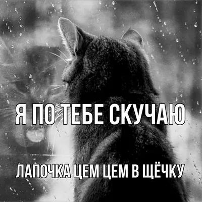 ЭХО on X: "Алексей Навальный: «Сегодня день влюбленных, и я, конечно, в  тебя влюблен, поэтому шлю тебе это сердце 🧡 Люблю. Скучаю. Твой муж»  Читайте полностью: /jFBJfun2nL /rLxslIoIZr" / X