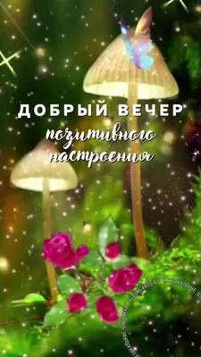 ДОБРЫЙ ВЕЧЕР! СПОКОЙНОЙ НОЧИ!💌⭐🌙КРАСИВАЯ МУЗЫКАЛЬНАЯ ОТКРЫТКА С  ПОЖЕЛАНИЕМ СПОКОЙНОЙ НОЧИ! 💎 - YouTube