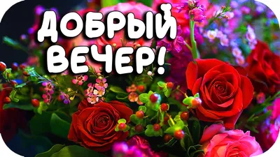 Добрый вечер! За дружбу! - анимационные картинки - гиф открытки