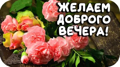 Актуальных мероприятий нет. Трио "Добрый вечер" - "Звездный концерт или  джазовая сюита Щелкунчик" - Билеты на концерт, в театр, цирк, заказать и  купить билеты онлайн – Кассы Ру Новосибирск