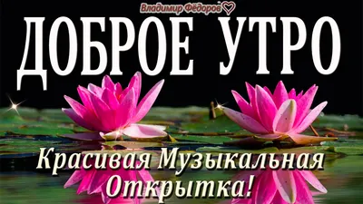 Доброе утро и хорошего дня ~ Открытка (плейкаст)