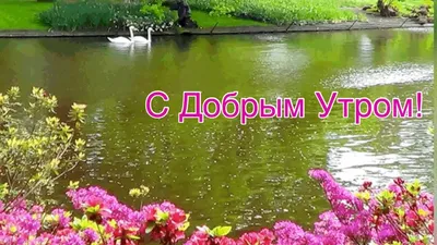 Вип открытка Доброе утро | Музыкальные Открытки Бесплатно