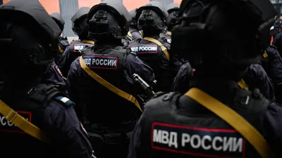 МВД России опровергло сообщения о создании штурмовых батальонов - ТРК  Звезда Новости, 