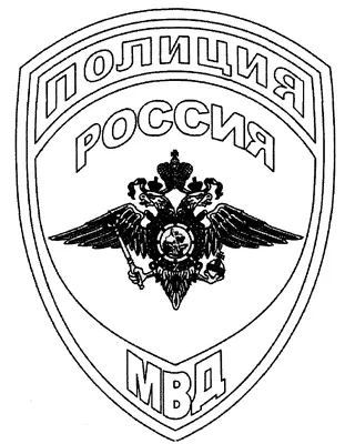 Шеврон принадлежности к внутренней службе МВД России купить в  Санкт-Петербурге