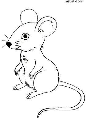 Mouse | Coloring book for children: 14 coloring pages распечатать