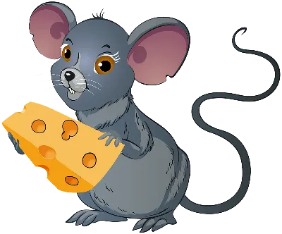 Мышь Швейцарский Сыр Грызущий - Бесплатное фото на Pixabay - Pixabay