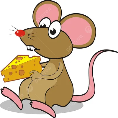 Мышь ест сыр | Премиум Фото