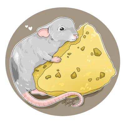 Мышь ест сыр | Премиум Фото