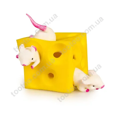 Правда ли, что мыши любят сыр?