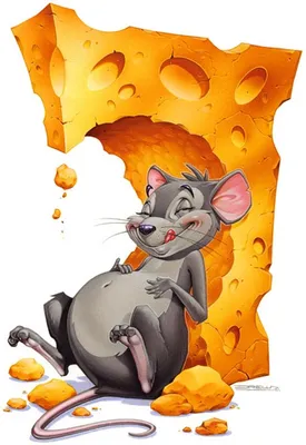 Почему мыши любят сыр?