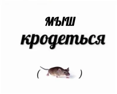 Мыш Мышич | МиМ | Дзен