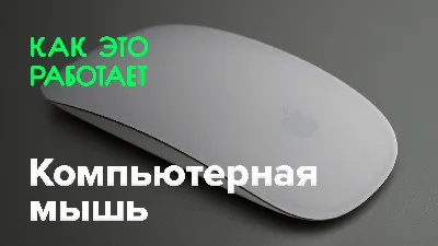 КАК УПРАВЛЯТЬ КОМПЬЮТЕРОМ БЕЗ МЫШКИ — 2 технологии