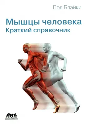 Анатомия мышц всего тела 3D Модель $59 - .unknown .3ds .fbx .c4d .stl .obj  - Free3D