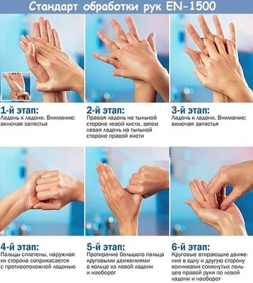 Инфекционист предупредила об опасности неправильного мытья рук - РИА  Новости, 