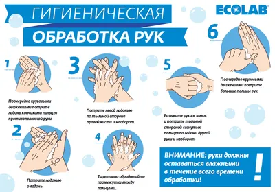 Все, что вам нужно знать о мытье рук — СПб ГБУЗ КДЦД