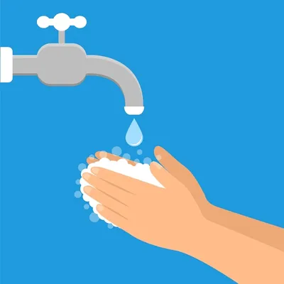 Что нужно знать о мытье рук: 5 основных вопросов и ответов