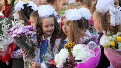 День знаний по-взрослому. Что родители подарят детям и учителям 1 сентября  | ОБЩЕСТВО:Образование | ОБЩЕСТВО | АиФ Красноярск