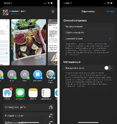 Красивый рабочий стол на iPhone: как создать свои виджеты и изменить иконки  в iOS? - i-Store
