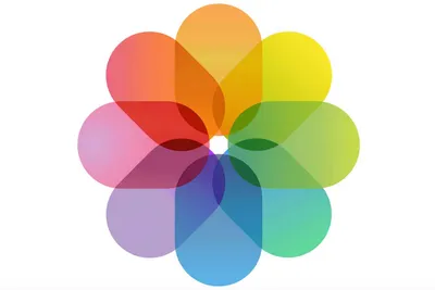 Apple показала лучшие фотографии, сделанные на камеру iPhone XS