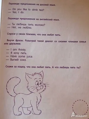 ВПР по английскому языку (7 класс). Описание картинки: разбор задания,  ответы на пятёрку | Oxford Street