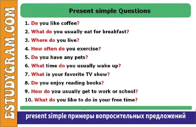 Типы вопросов в английском языке | 5 видов вопросительных предложений в  английском