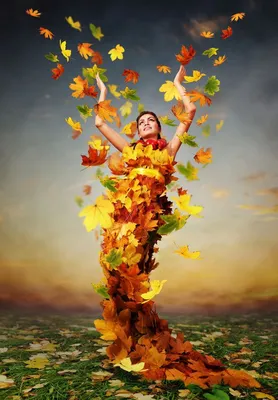Рисунок дерева с круглой кроной с осенними листьями — Картинки для аватарки  | Алмазная вышивка, Картины с изображением креста, Осенние деревья