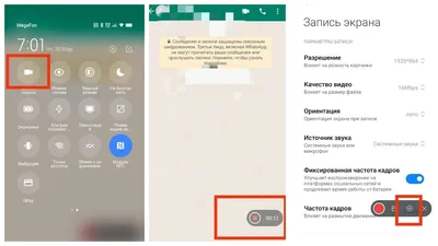 Фильтры для видеозвонков в Whatsapp (Ватсап) | 