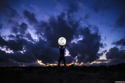 Картинка с силуэтом волка на фоне луны