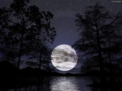 Картинки ночь луна - 75 фото