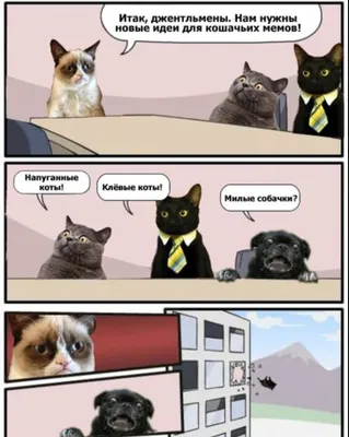 Мемы и смешные картинки с котами и собаками 2 | Животные и не только | Дзен