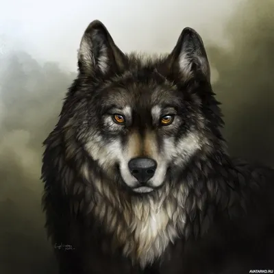 Животные, #Волки, #аватары, #картинки, #фото, #авы,  /kartinka/11058 | Реалистичный рисунок, Серые волки,  Самые милые животные