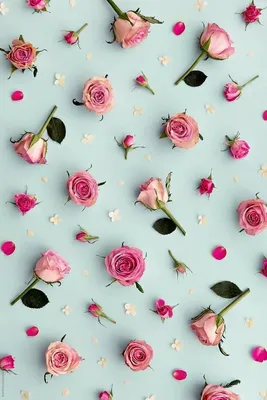 Открытка из приложения Кефир: /c/3377433 | Пастельные  цветы, Цветочные фоны, Винтажные розы