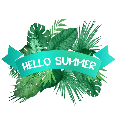 Летние баннеры природы в векторе / Summer nature banners in vector »  Векторные клипарты, текстурные фоны, бекграунды, AI, EPS, SVG