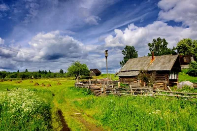 Баннеры и растяжки