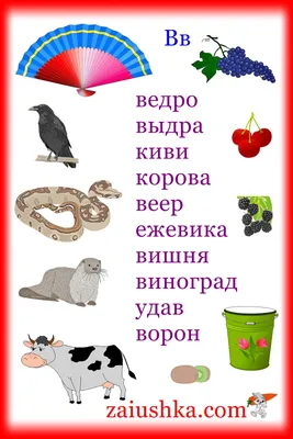 Что начинается с буквы В? | Обучение буквам, Обучение алфавиту, Алфавит