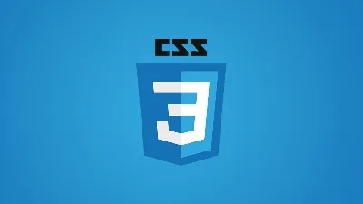 Basic CSS That Every WordPress User Needs to Know