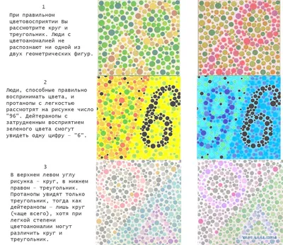 Тест на дальтонизм - ЯПлакалъ