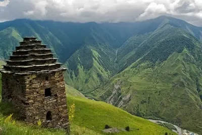 Ко Дню чеченского языка, в Шелковском ЦСПСиД состоялось праздничное  мероприятие под названием “Нохчийн маттах нохчийн махках бераллехь дуьйна  дозалла дина”. – MuнТруд ЧР