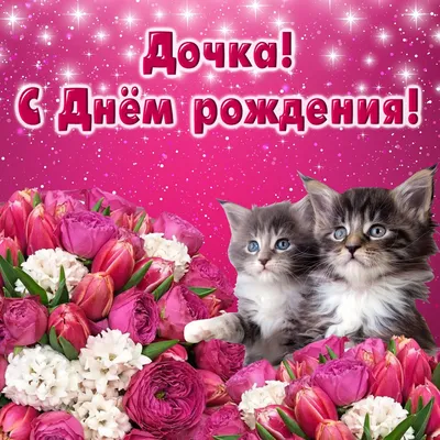 Открытка на День рождения дочери - забавные котята на сияющем фоне с цветами